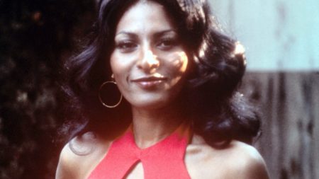 ‘Foxy Brown’, AKA Pam Grier, Will See Stage And TV Adaptations Of Her Works